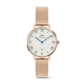 DW Petite Roman Numerals Date Rose Gold Watch